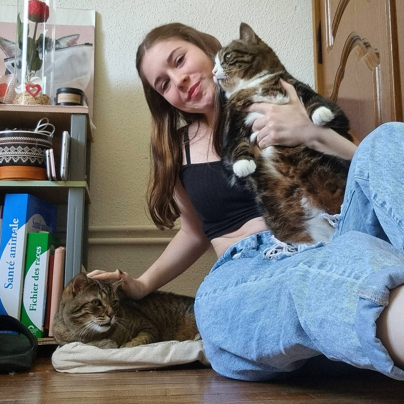 Nino participe au concours pour gagner de l'argent avec cette photo : brown_hair, carnivore, cat, comfort, companion_dog, fawn, felidae, fur, happy, human_leg, lap, long_hair, mammal, shelf, sitting, small_to_medium_sized_cats, smile, thigh, vertebrate, whiskers