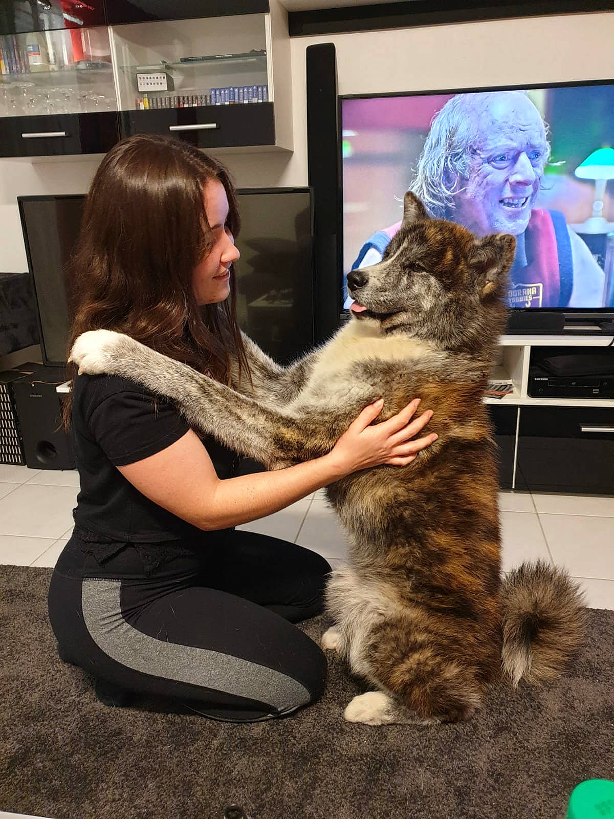 Qoda participe au concours pour gagner de l'argent avec cette photo : american_curl, carnivore, cat, dragon_li, ear, european_shorthair, felidae, fur, interaction, kitten, maine_coon, mammal, norwegian_forest_cat, pixie_bob, savannah, small_to_medium_sized_cats, tabby_cat