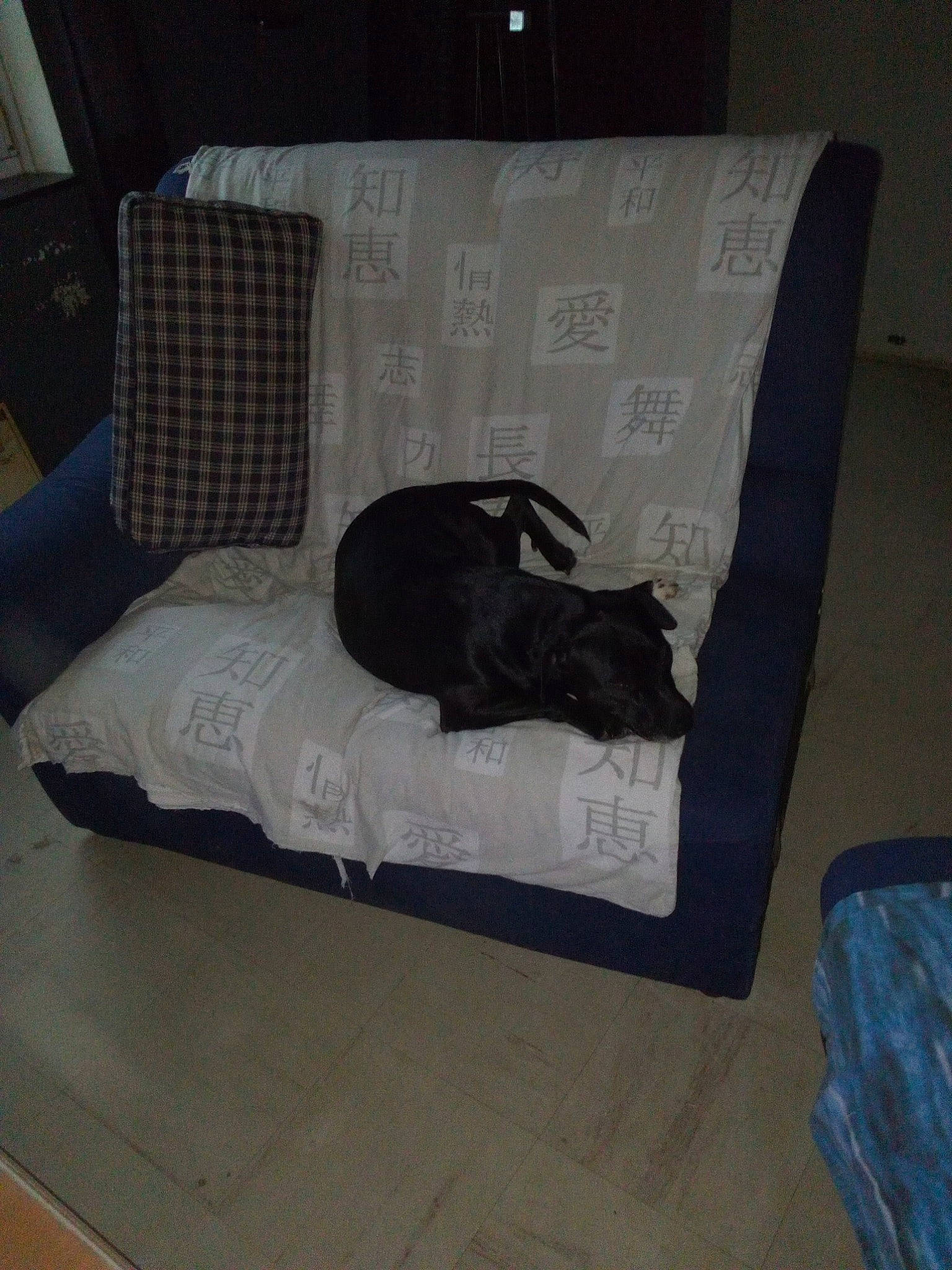 Louna a rejoint le concours — aidez-le/la à gagner de superbes lots ! bed, comfort, couch, furniture, mattress, room