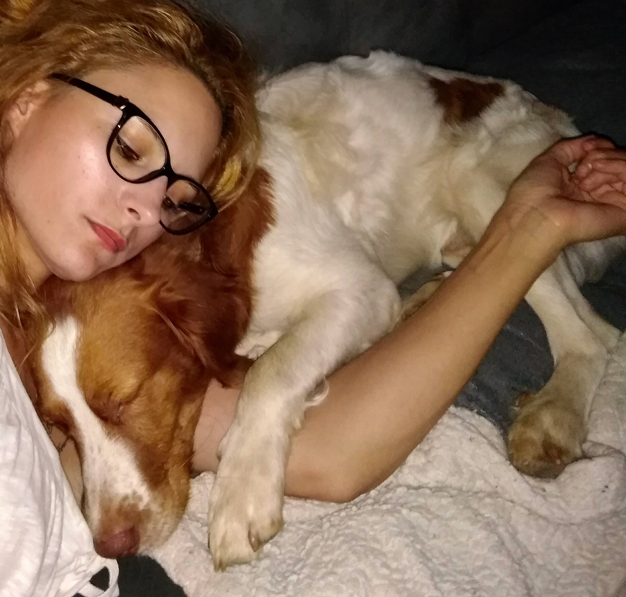 Joker participe au concours pour gagner de l'argent avec cette photo : brown_hair, carnivore, comfort, companion_dog, dog, dog_breed, ear, eyewear, fawn, fur, glasses, happy, human_leg, liver, paw, snout, sporting_group, vision_care, whiskers, working_animal