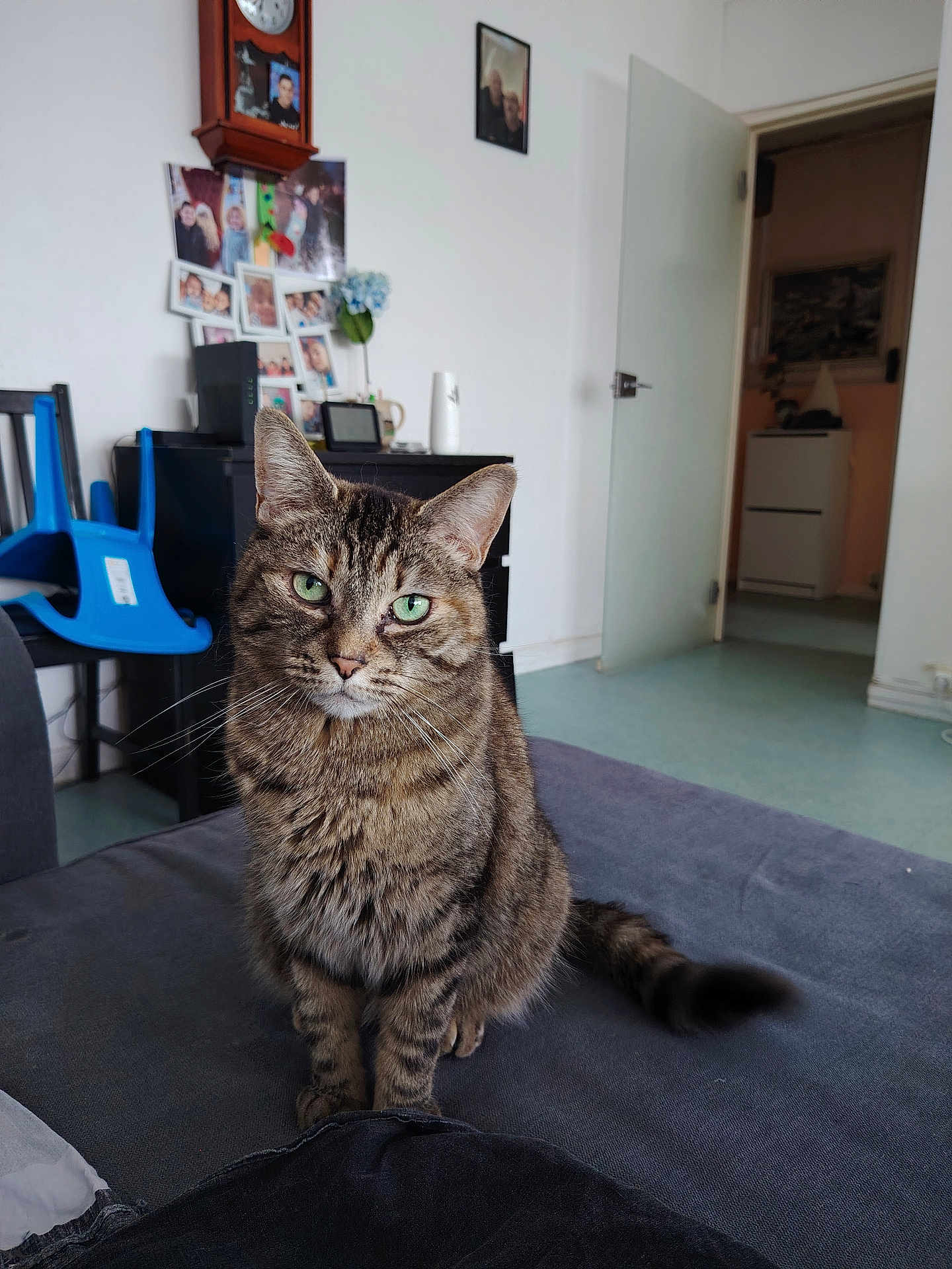 Nala