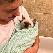 Kahlua joined the competition — help win amazing prizes! man, cat, kitten, towel, bathroom, tile_wall, bathtub, wet, holding, caring, closeup, indoor, human, pet, animal, portrait, wrapped, soft_texture, curious, love