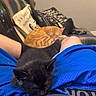 Luna joined the competition — help win amazing prizes! black_kitten, ginger_cat, cat, kitten, sleeping, couch, pillow, blue_shorts, person, legs, indoor, resting, furniture, striped_couch, home, pet, relaxation, animal, fur, nap