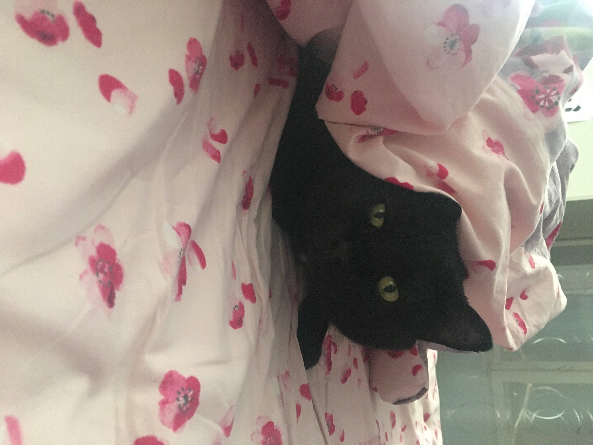 Arwen participe au concours pour gagner de l'argent avec cette photo : baby_products, baby_toddler_clothing, button, carmine, collar, fashion_accessory, fur, home_accessories, linens, magenta, pattern, petal, pink, ribbon, room, sleeve, textile