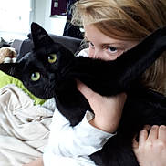 Malice participe au concours pour gagner de l'argent avec cette photo : black_cat, black_hair, brown_hair, cat, cat_like_mammal, ear, fur, girl, kitten, long_hair, small_to_medium_sized_cats, whiskers