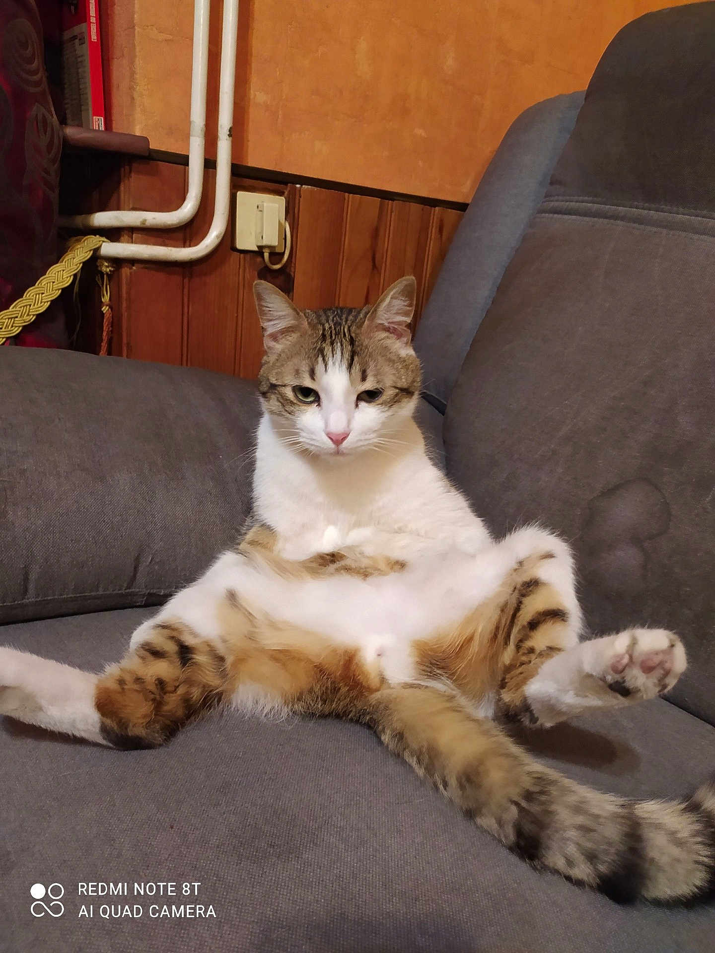 Simba