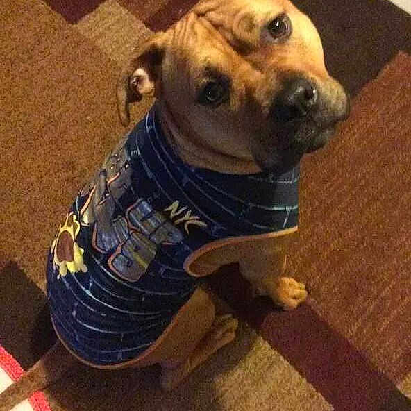 Zealyn is registered to the contest to win money with this photo: