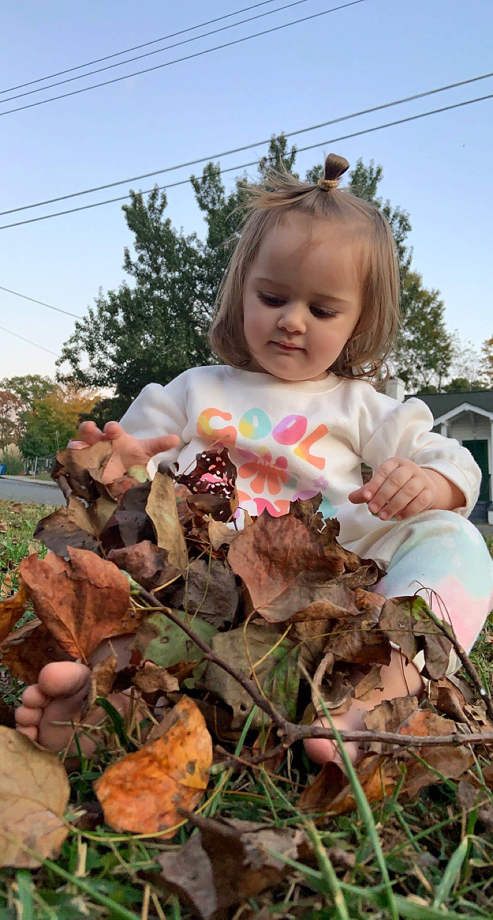 Ayla Mae is registered to the contest to win money with this photo: autumn, baby_toddler_clothing, child, doll, fawn, garden, grass, grass_family, happy, landscape, lawn_ornament, person, plant, pumpkin, sitting, sky, soil, terrestrial_plant, toddler, tree