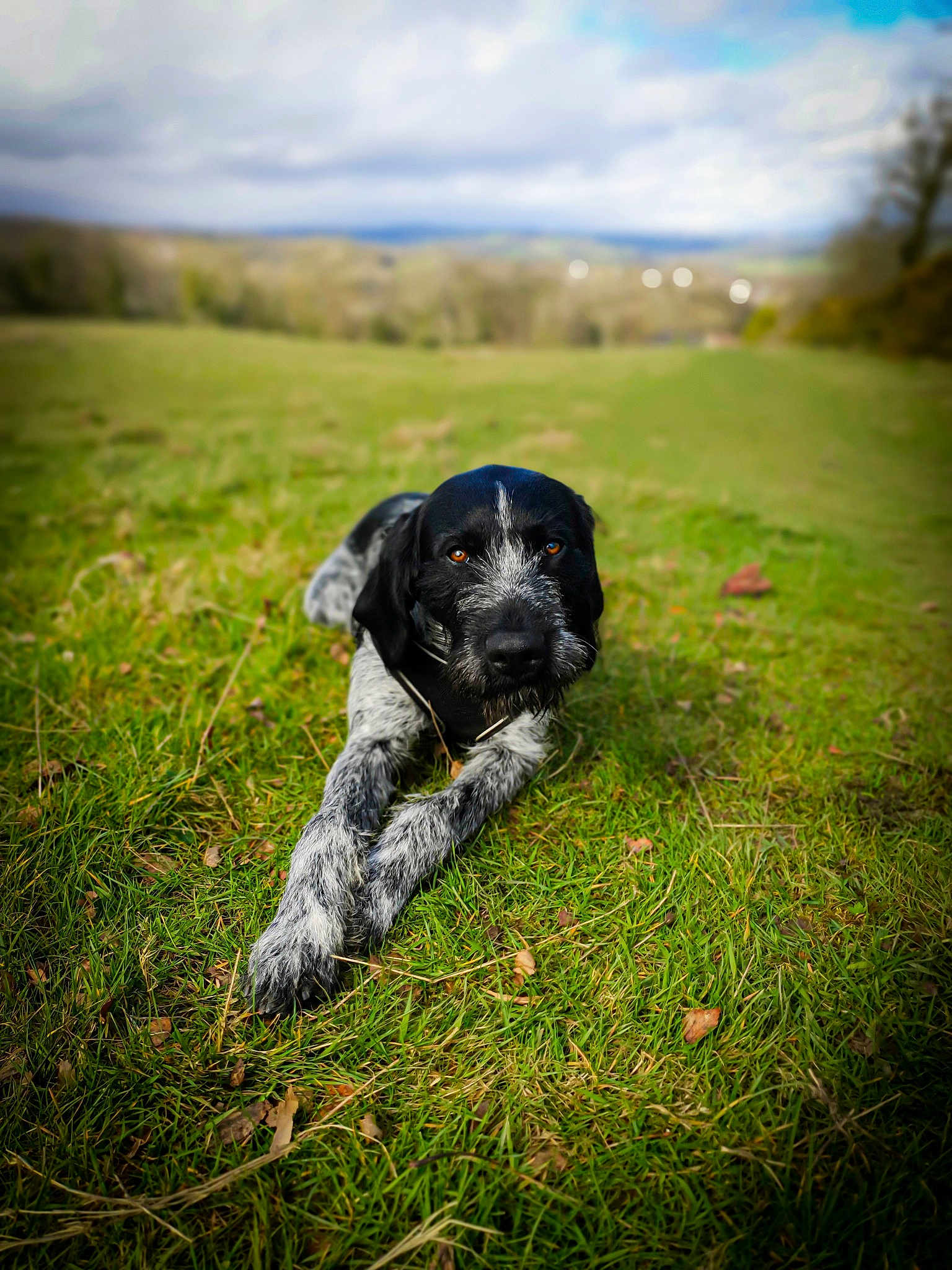 Max