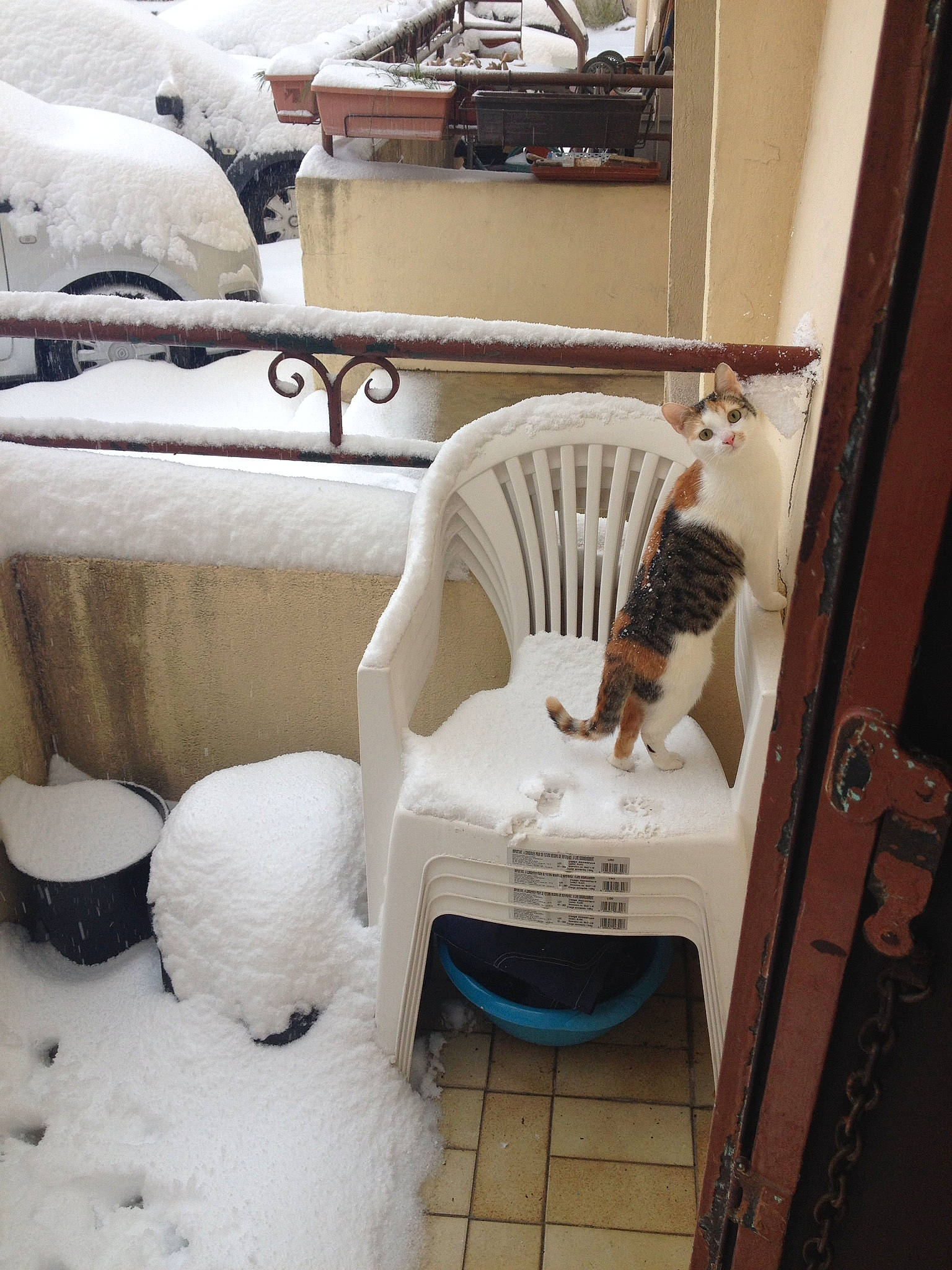 Milly participe au concours pour gagner de l'argent avec cette photo : automotive_design, black, chair, comfort, design, door, event, flooring, furniture, hardwood, house, interior_design, mammal, outdoor_furniture, snapshot, snow, table, textile, white, wood