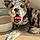 Zira