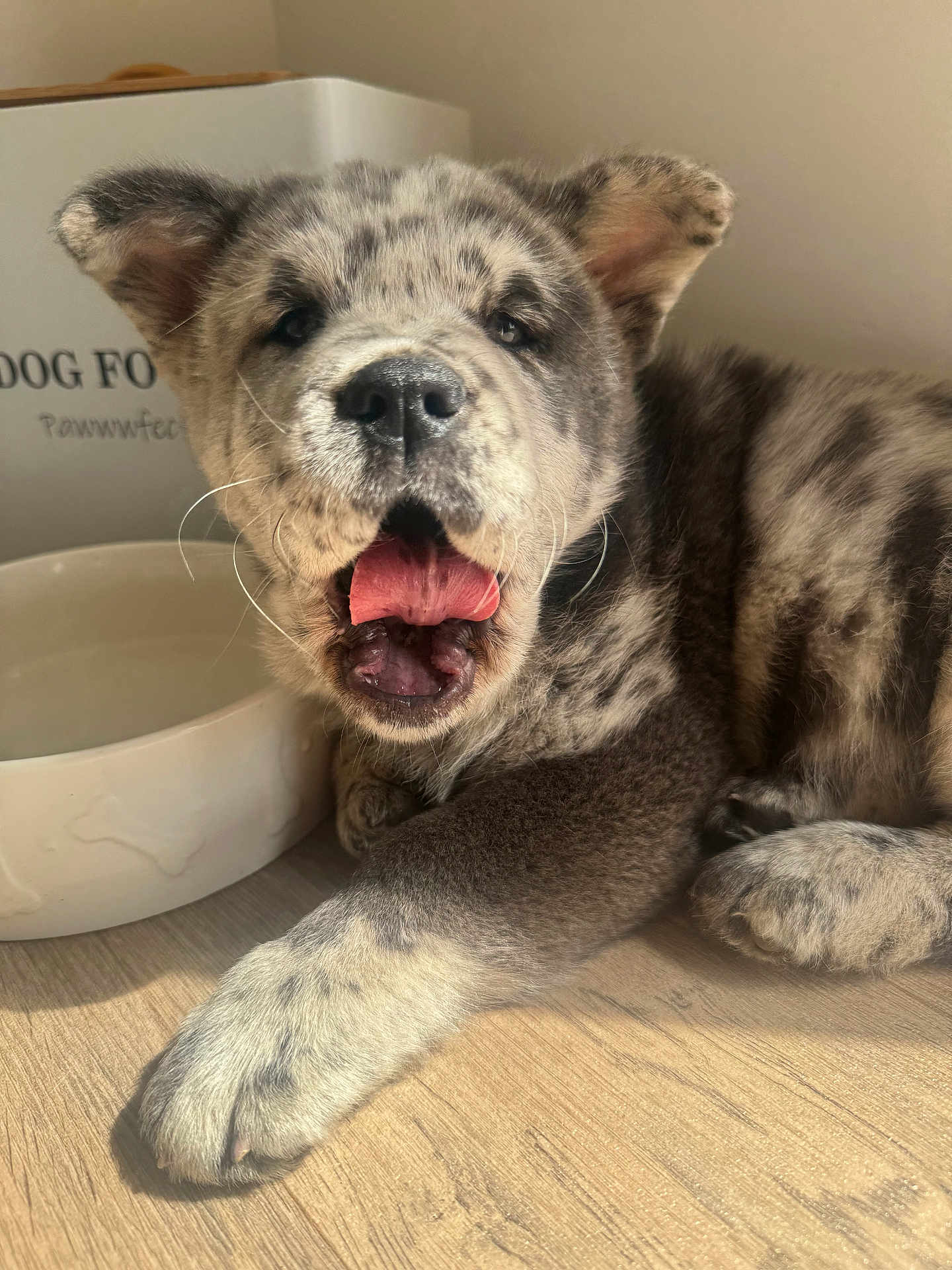 Zira