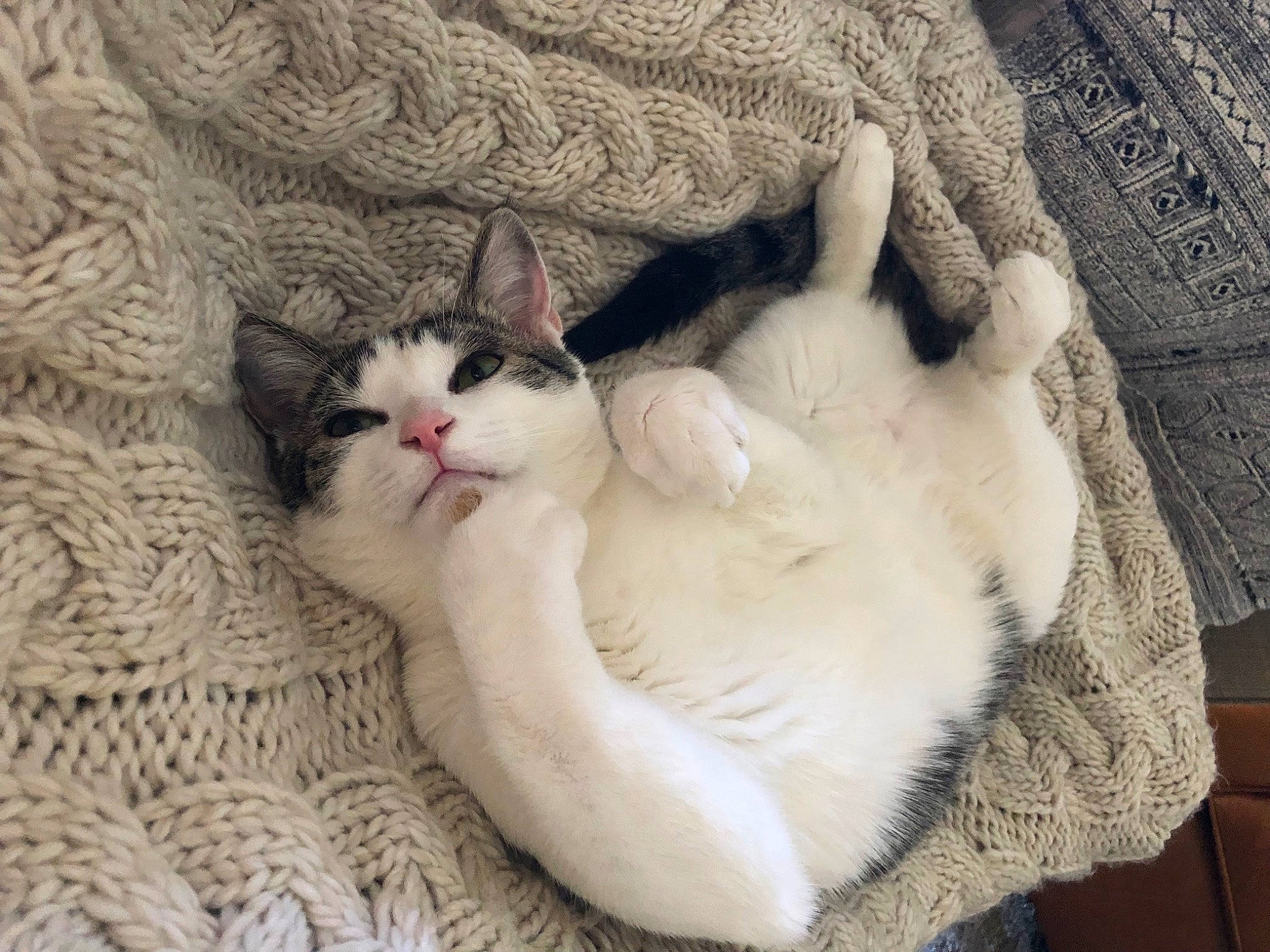 Beau