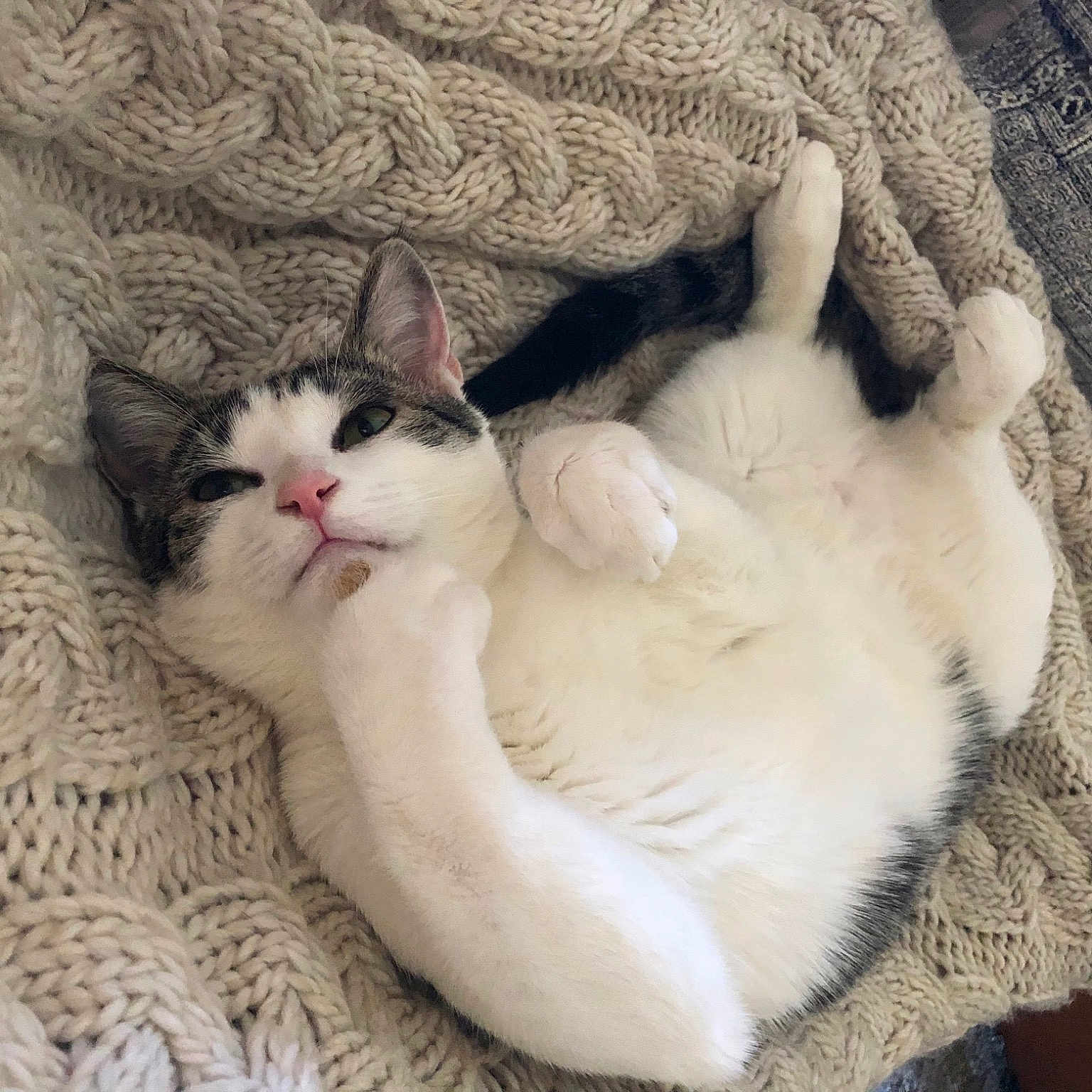 Beau