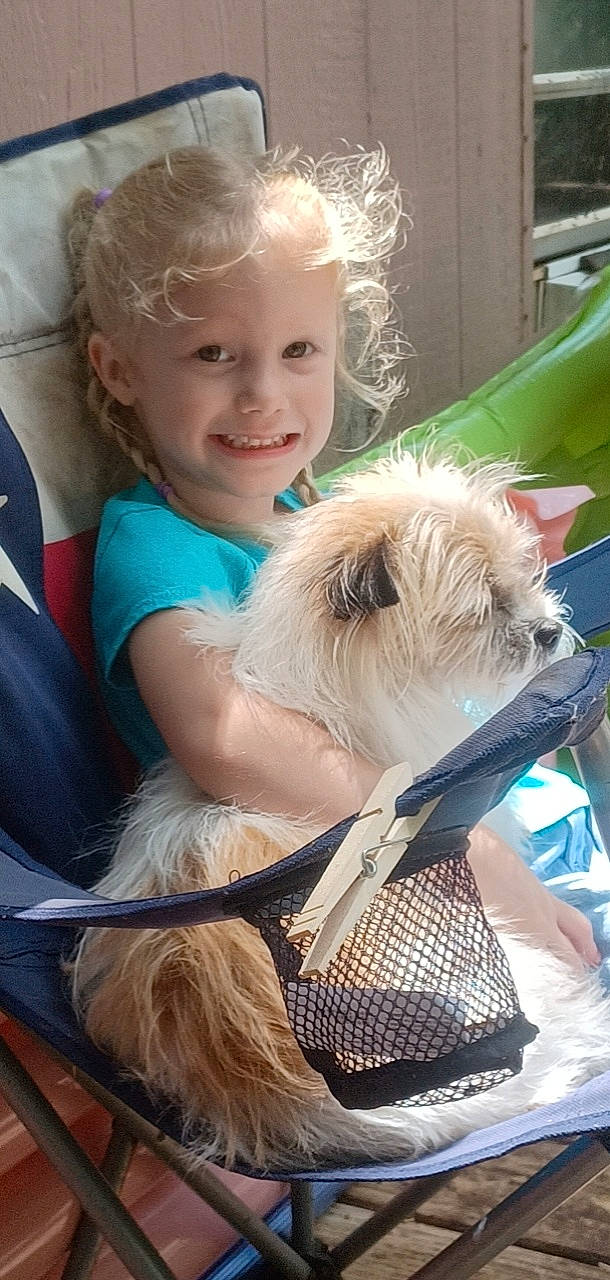 Amarah is registered to the contest to win money with this photo: blond, canidae, carnivore, child, companion_dog, dog, dog_breed, eyewear, fun, fur, happy, joy, leisure, person, puppy, puppy_love, sitting, small_terrier, smile, terrier