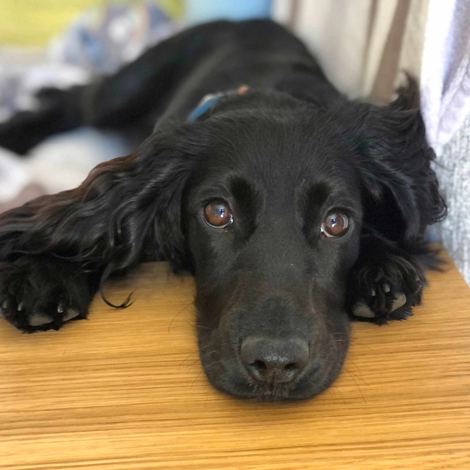 Luna