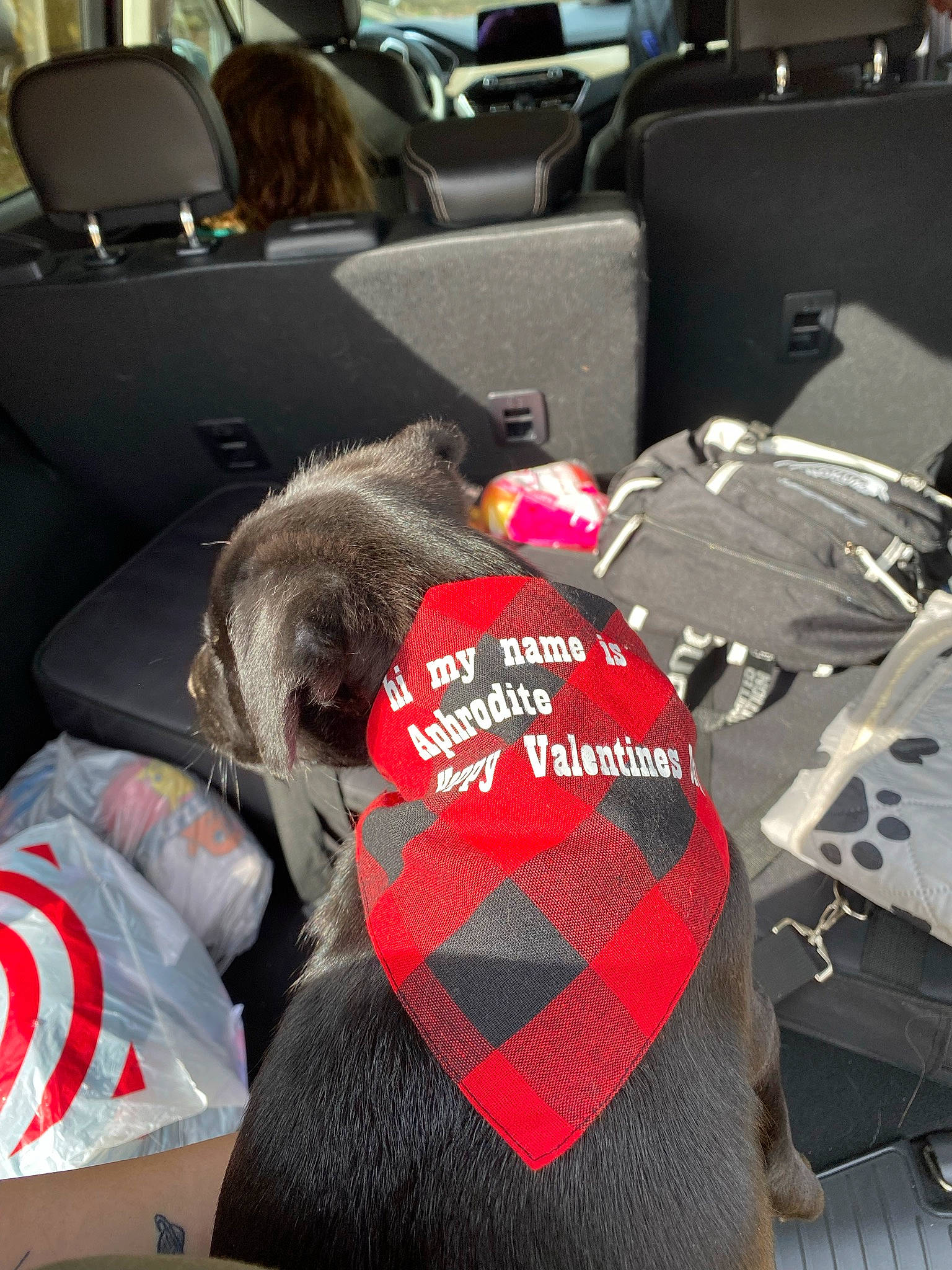 Aphrodite joined the competition — help win amazing prizes! auto_part, automotive_design, automotive_exterior, bag, car, car_seat, car_seat_cover, carmine, comfort, family_car, fashion_accessory, fur, head_restraint, luxury_vehicle, motor_vehicle, personal_luxury_car, personal_protective_equipment, stuffed_toy, vehicle, vehicle_door