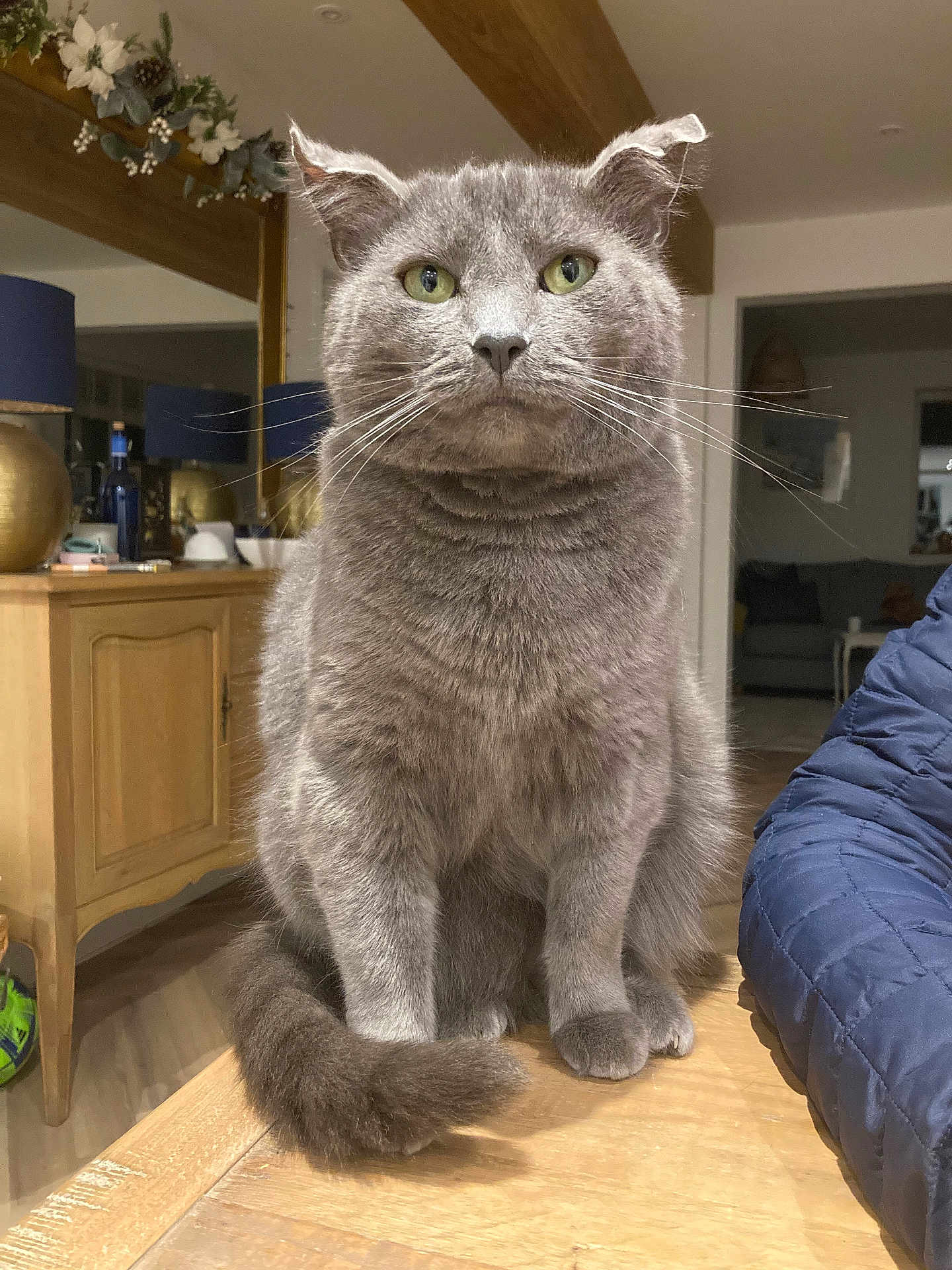 Bruce
