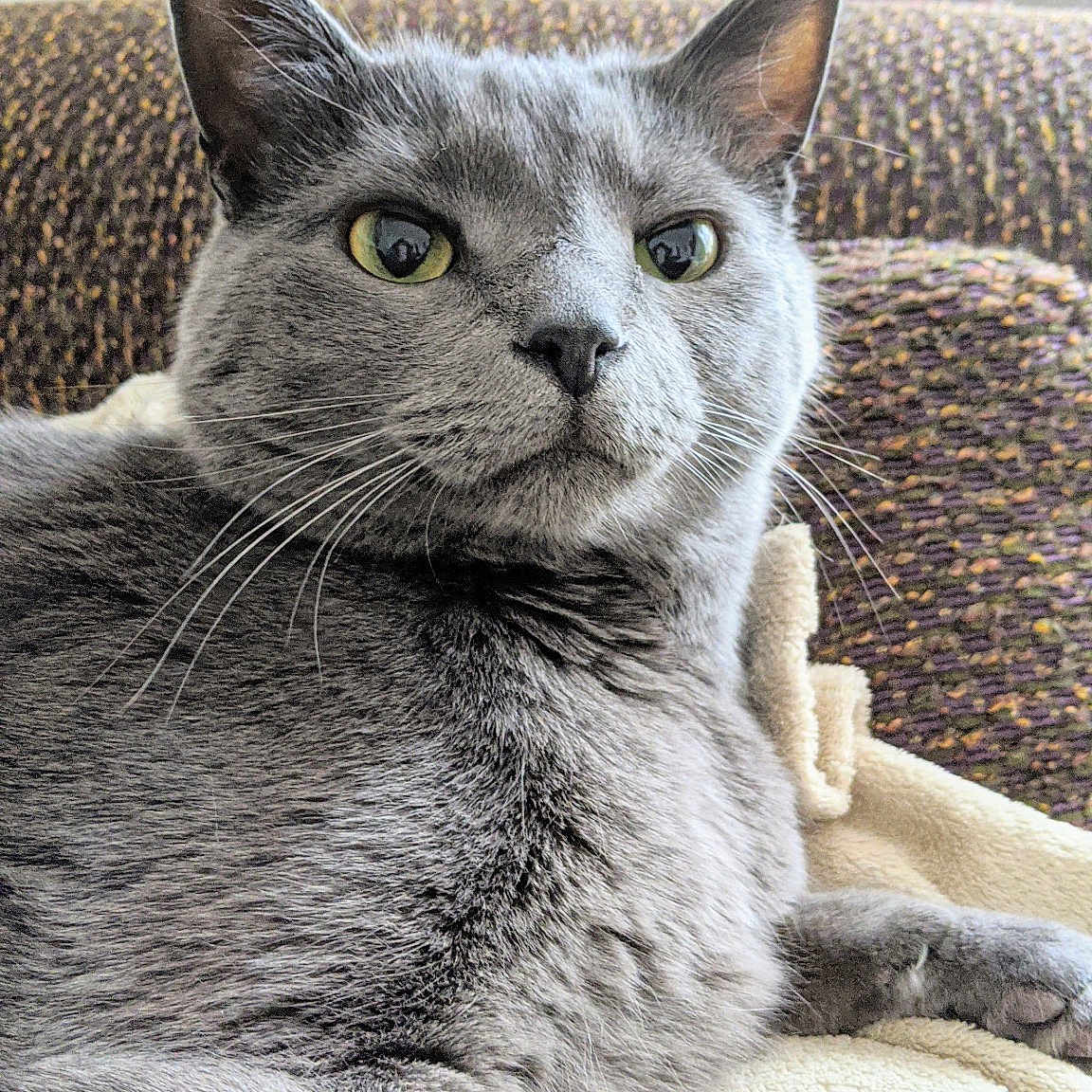 Nick