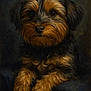 animal, artwork, black_fur, brown_fur, calm, canine, close_up, cute, dark_background, dog, domestic_animal, expression, fluffy, fur_texture, mammal, painting, pet, portrait, sitting, studio_lighting