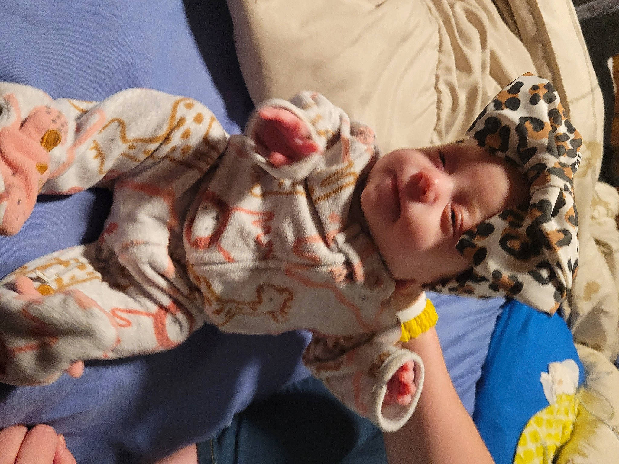 Oakley joined the competition — help win amazing prizes! baby, child, comfort, event, fawn, fictional_character, flesh, fun, fur, gesture, hand, happy, headwear, nail, pattern, person, toy, tradition, zombie