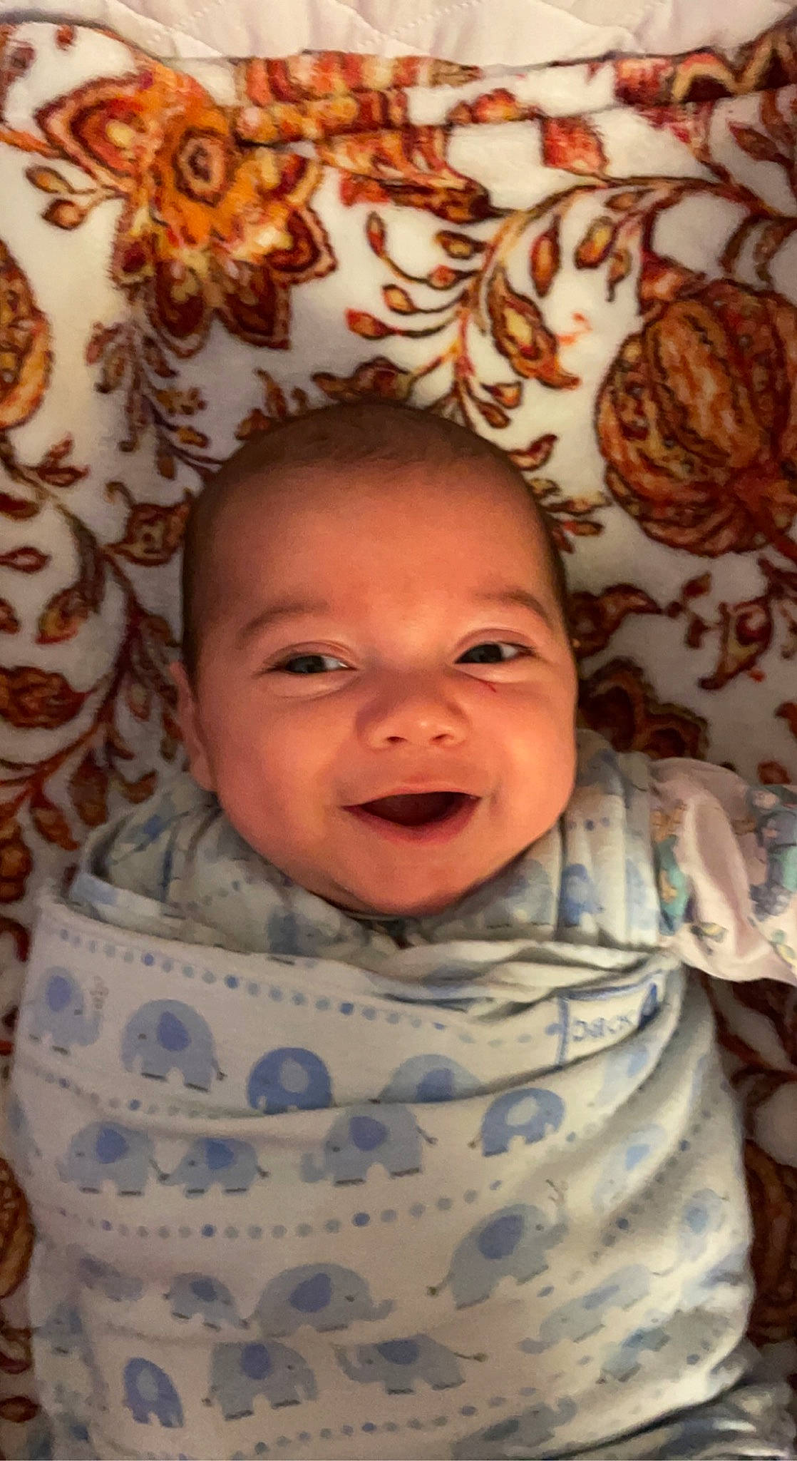 Rhett is registered to the contest to win money with this photo: baby, baby_toddler_clothing, brown, cheek, chin, comfort, eye, face, facial_expression, happy, head, leaf, mouth, nose, organ, person, skin, sleeve, smile, textile