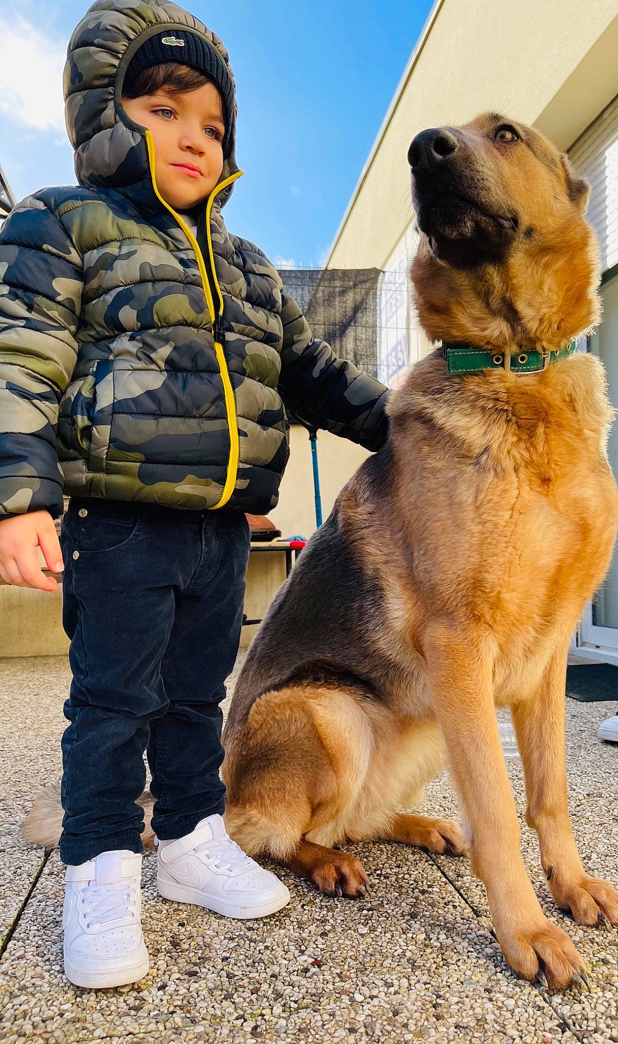 Aden a rejoint le concours — aidez-le/la à gagner de superbes lots ! canidae, carnivore, cloud, collar, companion_dog, dog, dog_breed, dog_collar, fawn, fur, german_shepherd_dog, headwear, hoodie, law_enforcement, leash, person, recreation, sky, snout, sporting_group