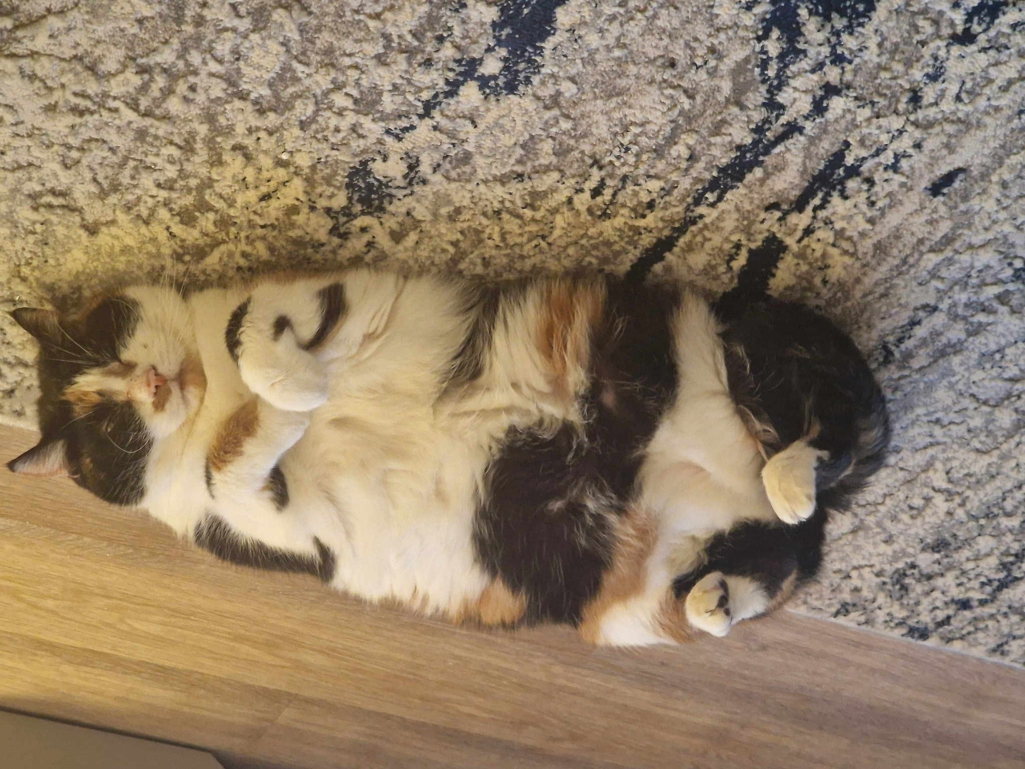 Tilly