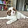Millie