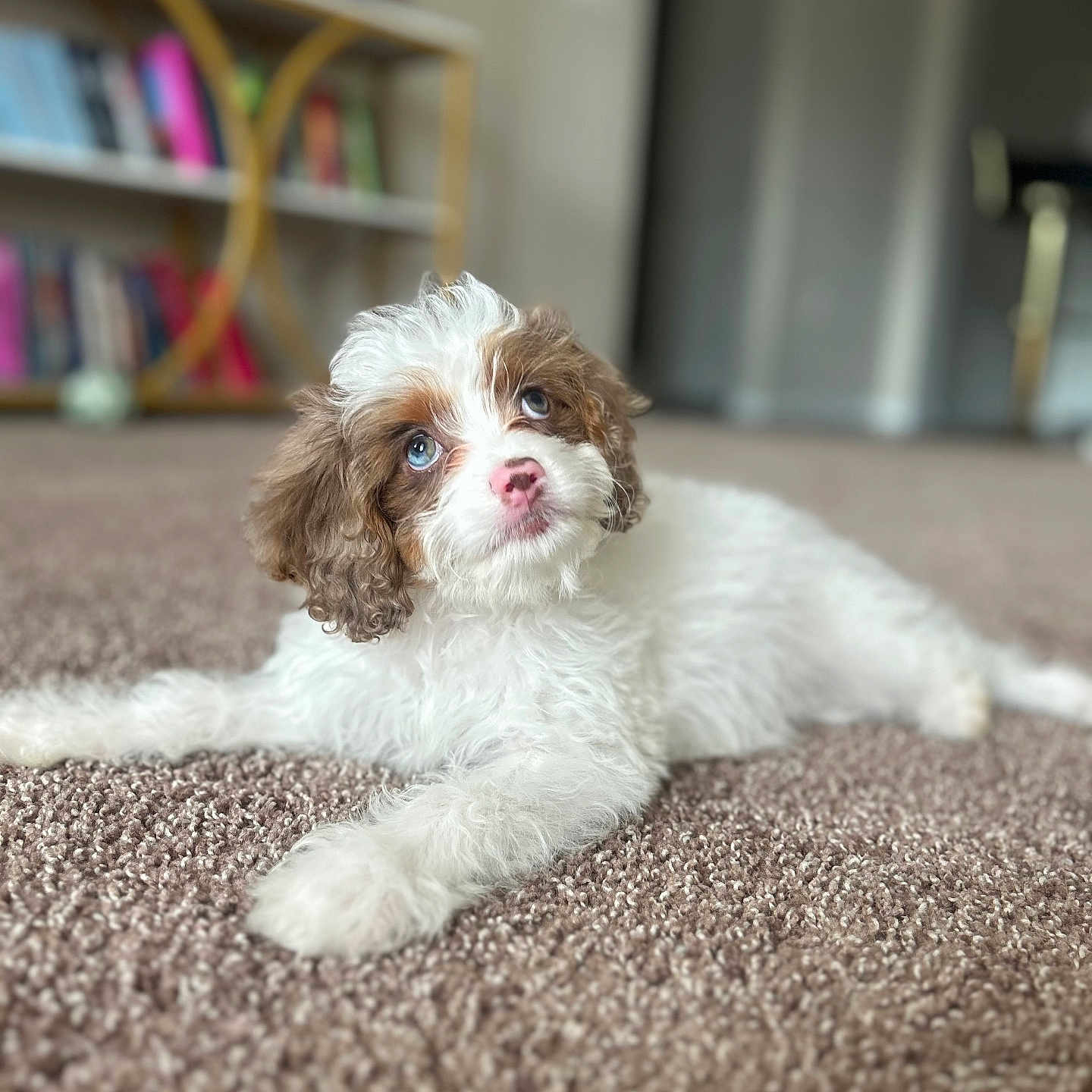 Millie