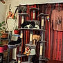 cat, cats, cat_tree, indoor, plant, potted_plant, curtain, furniture, toy, rooster_toy, grooming, lounging, multi_level, gray_cat_tree, orange_cat, black_cat, gray_cat, shirt, window, living_room