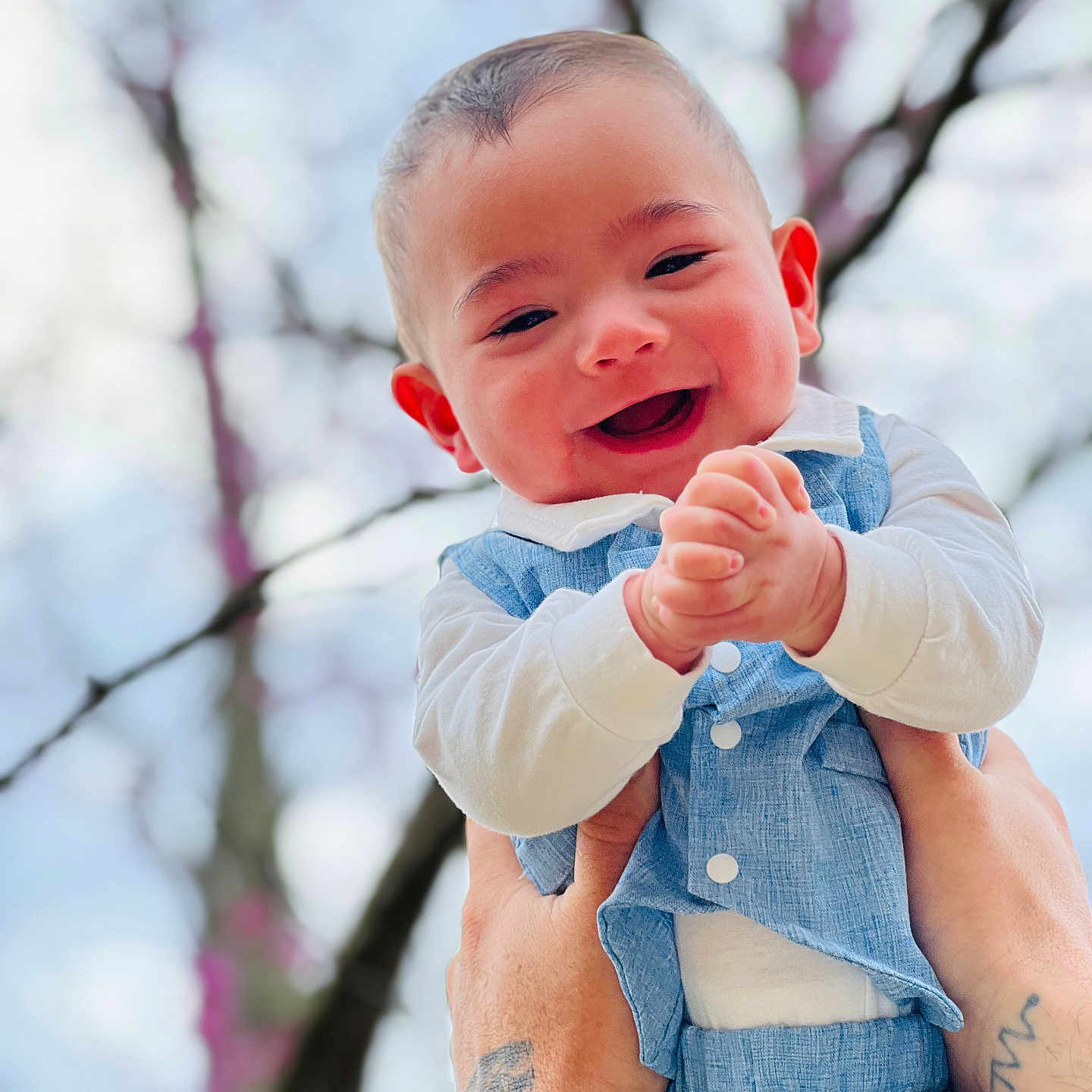 Caleb joined the competition — help win amazing prizes! baby, babylaughing, bodypart, clothing, face, finger, flower, hand, happy, head, jeans, laughing, pants, person, photography, plant, portrait, skin, smile, tattoo