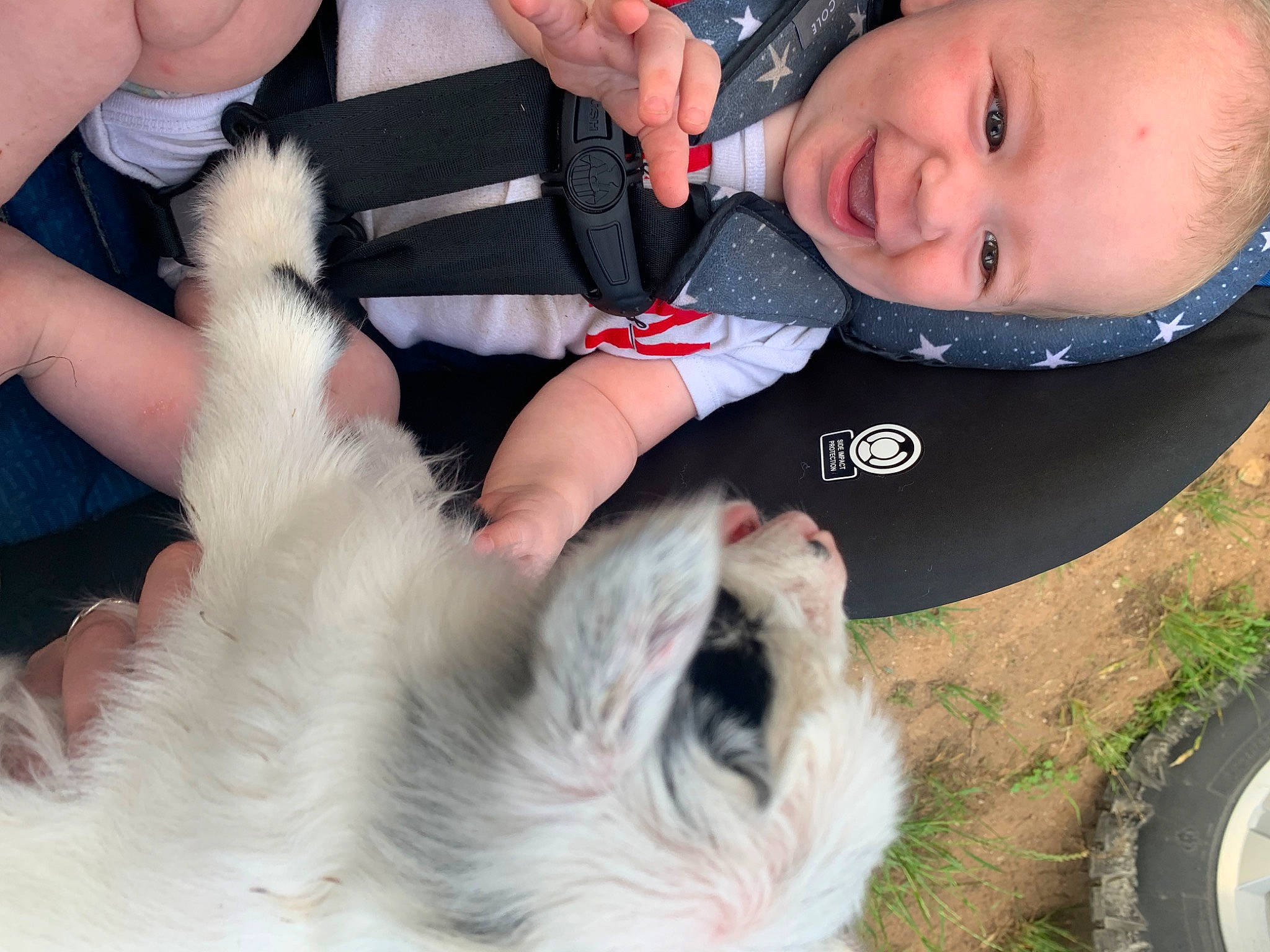 Koen joined the competition — help win amazing prizes! baby, baby_toddler_clothing, carnivore, companion_dog, dog_breed, felidae, finger, gesture, happy, iris, mammal, nose, person, small_to_medium_sized_cats, tail, tire, toddler, tree, vertebrate, whiskers