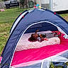 child, toddler, smiling, outdoor, tent, camping, backyard, grass, mattress, sleeping_bag, pajamas, striped_clothing, toy, playground, playhouse, recreation, family, portrait, daylight, truck