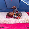 Jaleyah is registered to the contest to win money with this photo: child, smiling, indoor, tent, mattress, bed, lying_down, curled_up, striped_clothing, pajamas, barefoot, bottle, pink, blue, playful, portrait, happy, curly_hair, camera_timestamp, camping