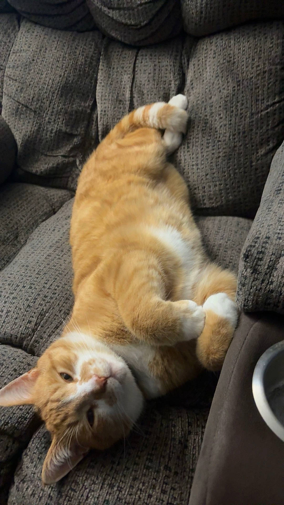 Lloyd
