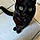 Blackie
