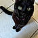 Blackie
