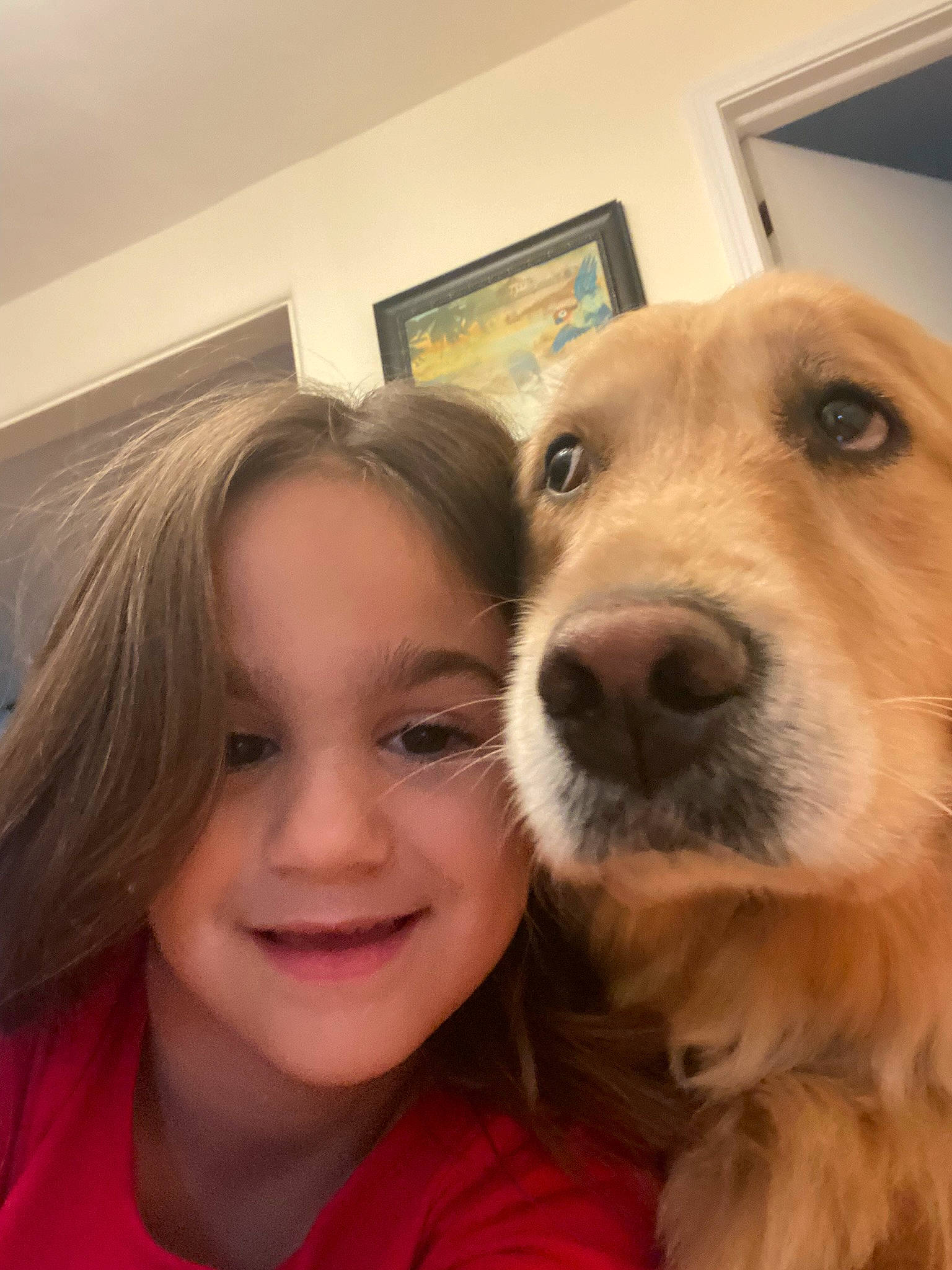 Sammie joined the competition — help win amazing prizes! blond, carnivore, companion_dog, dog, dog_breed, ear, eyebrow, face, fawn, fun, happy, iris, jaw, long_hair, nose, picture_frame, selfie, smile, snout, whiskers