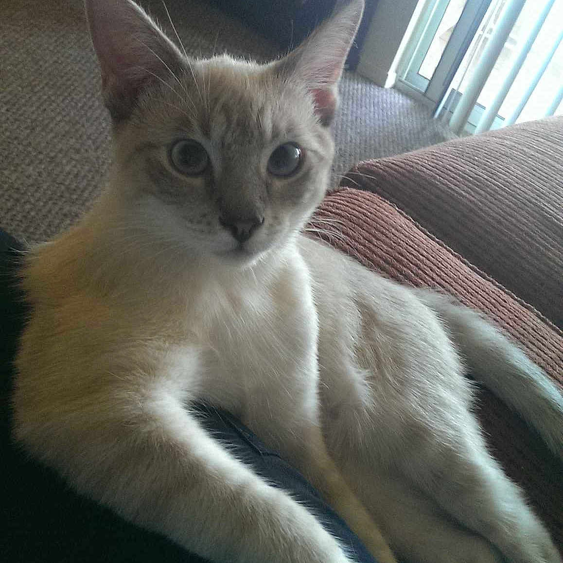 Tyson joined the competition — help win amazing prizes!