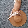 cat, orange_cat, white_cat, carpet, woven_hat, sunhat, pet, animal, indoor, relaxing, laying_down, curious, fur, whiskers, paws, tail, texture, floor, domestic_animal, cute
