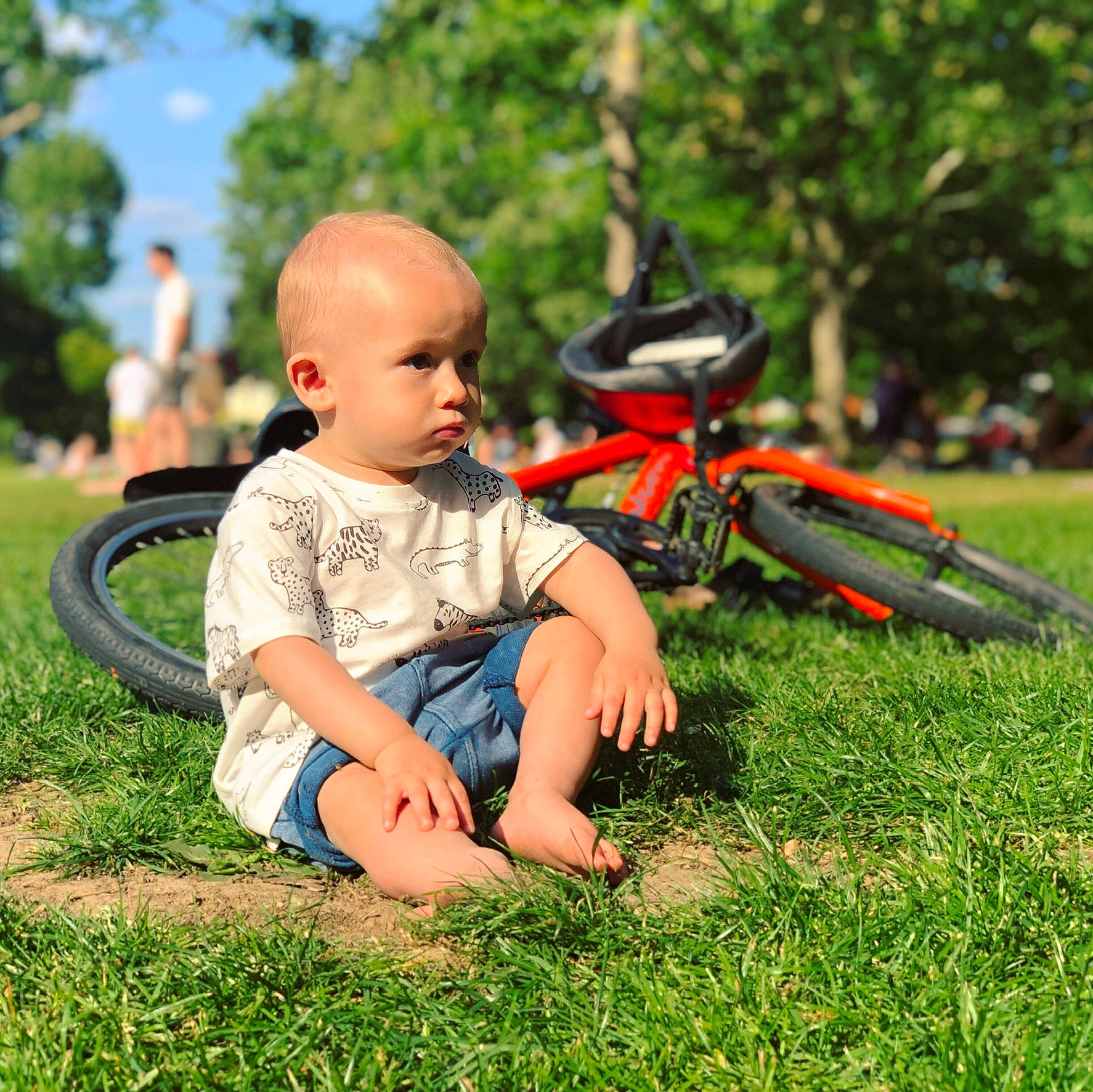 Theodore Help Alex is registered to the contest to win money with this photo: automotive_tire, baby, bicycle, bicycle_frame, bicycle_handlebar, bicycle_tire, grass, grassland, happy, land_vehicle, leaf, leisure, meadow, people_in_nature, person, plant, recreation, tire, toddler, tree
