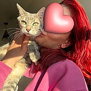 Aïko participe au concours pour gagner de l'argent avec cette photo : cat, tabby_cat, person, red_hair, pink_sweater, indoor, hand, holding, whiskers, green_eyes, sunlight, portrait, closeup, feline, pet, animal, face_obscured, warm_light, cozy, casual_clothing