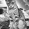 animal, artistic, bed, black_and_white, cat, comic, dramatic, eyes, feline, fur, indoor, japanese_text, lines, manga_style, paws, pet, portrait, sitting, striped, whiskers