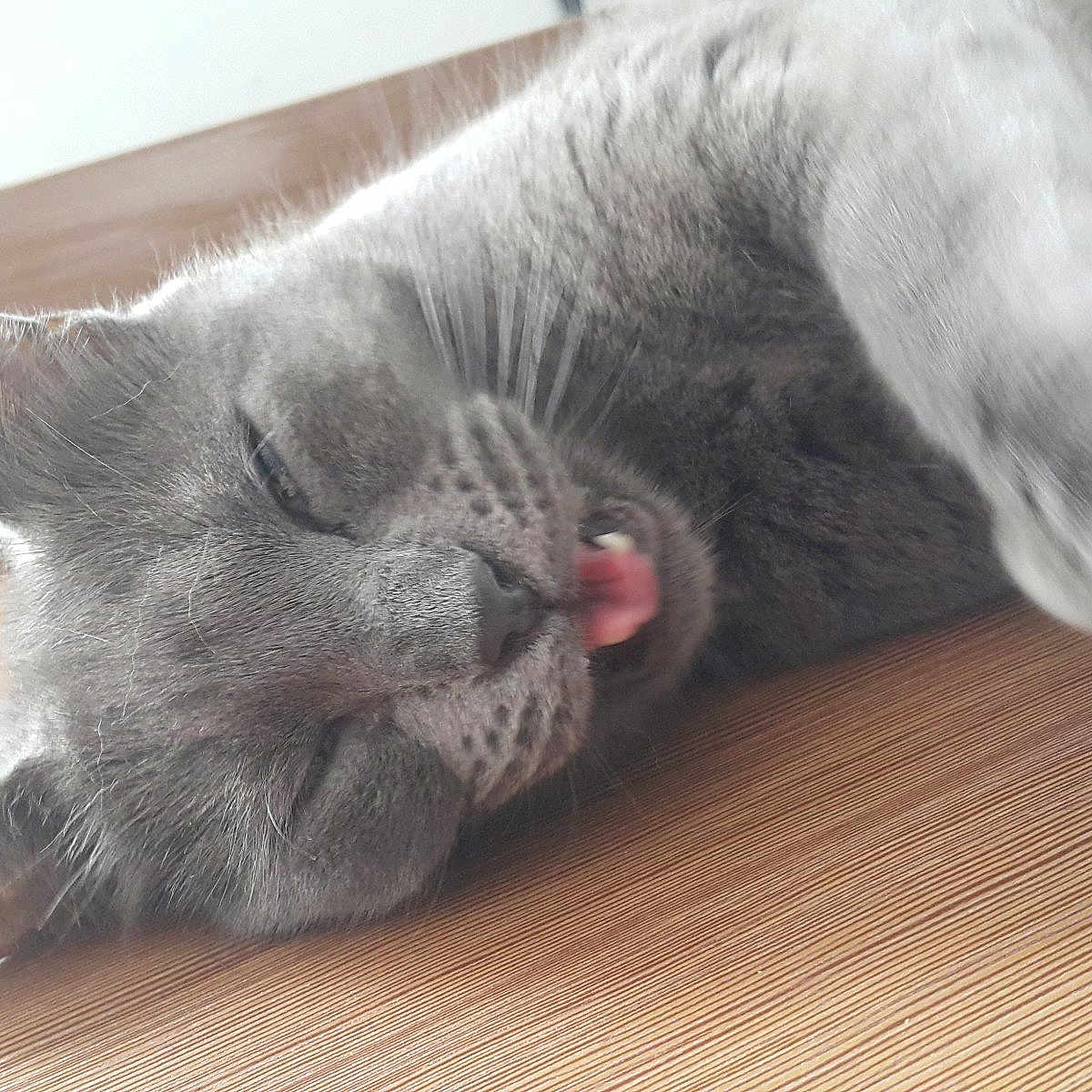 Mimie