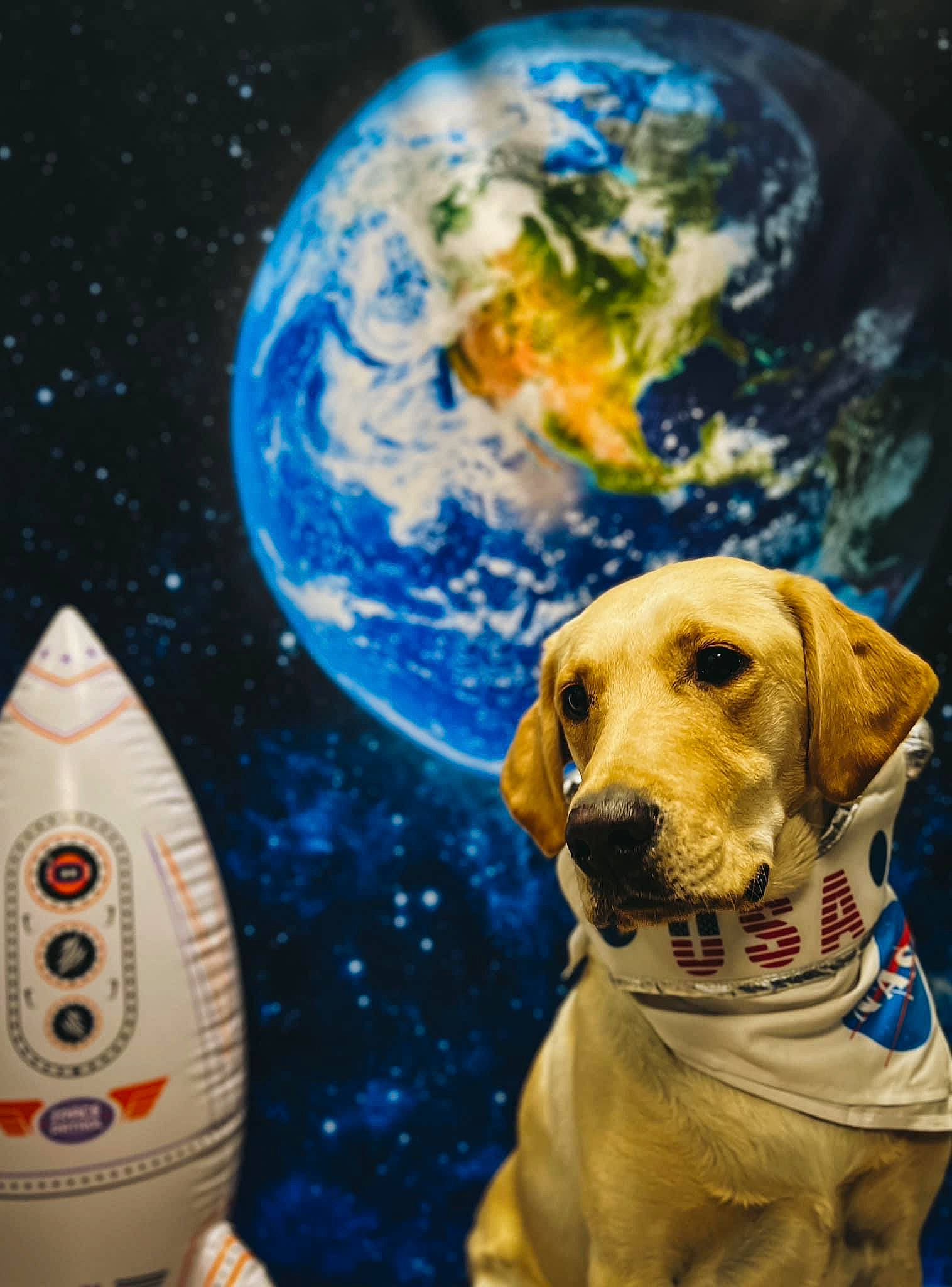 Duke joined the competition — help win amazing prizes! astronomical_object, astronomy, ball, blue, carnivore, circle, companion_dog, dog, dog_breed, dog_collar, font, gun_dog, plant, science, snout, space, sporting_group, water, working_animal, world