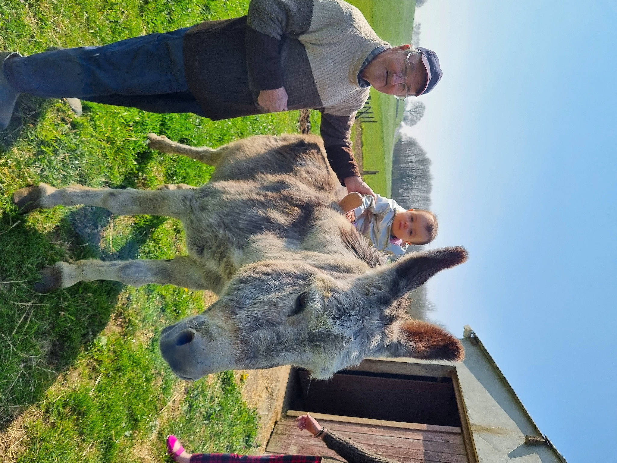 Séréna a rejoint le concours — aidez-le/la à gagner de superbes lots ! fun, gesture, grass, groundcover, head, headwear, joy, koala, landscape, marsupial, person, photograph, plant, sky, snout, soil, terrestrial_animal, wildlife, wildlife_biologist, working_animal