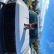 Piper is registered to the contest to win money with this photo: automotive_design, automotive_exterior, automotive_lighting, automotive_mirror, automotive_tail_brake_light, automotive_tire, car, cloud, daytime, grille, hood, land_vehicle, mode_of_transport, motor_vehicle, sky, tire, tree, vehicle, wheel, window