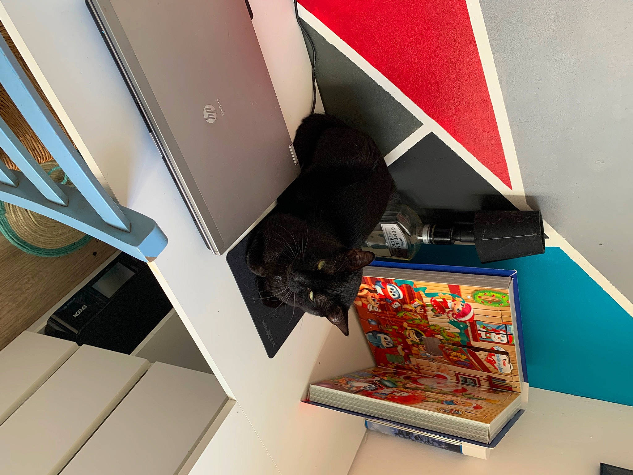 Bibou a rejoint le concours — aidez-le/la à gagner de superbes lots ! art, box, cardboard, carmine, carton, ceiling, display_device, felidae, gadget, machine, magenta, material_property, packaging_and_labeling, red, room, shelving, vehicle_door, visual_arts