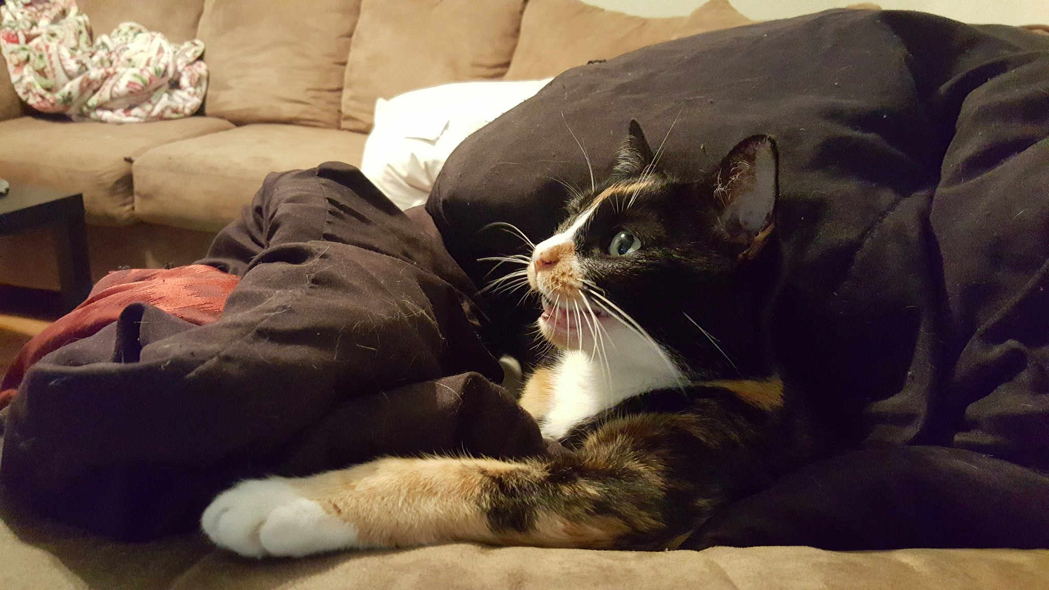 Mittens